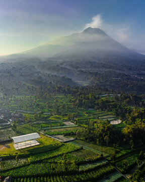 Aerial view of a majestic mountain draped in soft mist rising above terraced fields of vibrant green, Magelang, Jawa Tengah, Indonesia.
