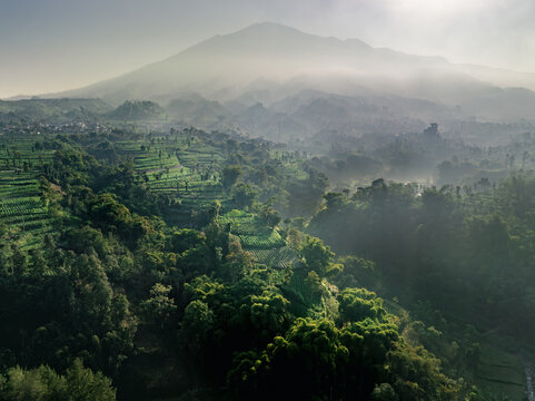 Aerial view of verdant terraces cascading down misty slopes towards lush forests, with a majestic mountain shrouded in clouds in the background, Jawa Tengah, Indonesia.
