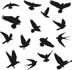 Isolated a kinds of deferent flying birds flock silhouettes vector art with white background.