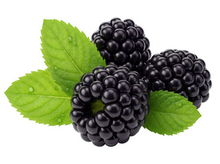 Three fresh blackberries with green leaves PNG isolated on transparent background, juicy summer fruit for healthy eating and dessert design
