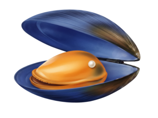 Open blue mussel with pearl isolated PNG, seafood delicacy on transparent background, gourmet ingredient for culinary arts