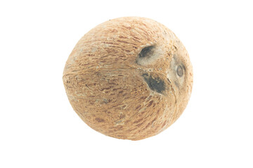 Full Fresh Coconuts depth of field