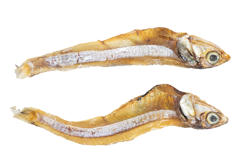 Selective focused on small sun dried fishes Tiny Fish as food