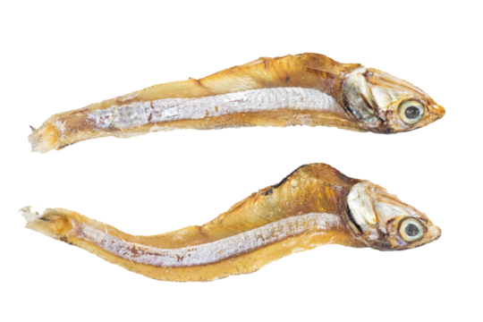 Selective focused on small sun dried fishes Tiny Fish as food