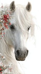 Christmas frame white background horse theme attributes