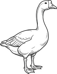 Standing Goose or Gander Bird Outline Line Art Vector Illustration, Hand Drawn Sketch Style Black and White Graphic Design, Farmyard Poultry Waterfowl Animal Drawing