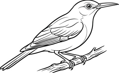 Detailed black and white line art vector illustration of a small songbird perched on a wooden branch, perfect for ornithology guides, coloring books, and nature education designs