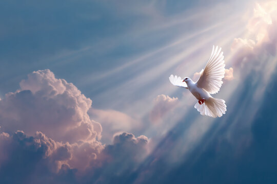 A photograph depicting the holy spirit in the form of a dove flying above the clouds, with white and soft colors, and light rays shining through