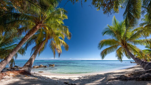 A tropical beach scene with crystal clear water, sandy shore, palm trees framing a vibrant blue sky