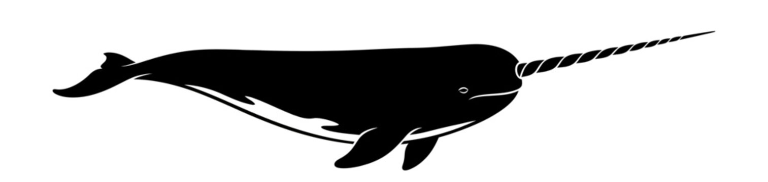 Black and White Narwhal Silhouette Vector Illustration