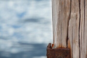 Old wood texture background. Plank wooden background