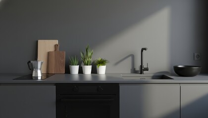 Stylish contemporary kitchen with graphite grey cabinets, a matte black faucet, and green houseplants on the countertop, bathed in natural light against a blank wall