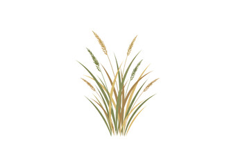 Fototapeta premium Green and Brown Tall Grass Illustration SVG on Transparent Background