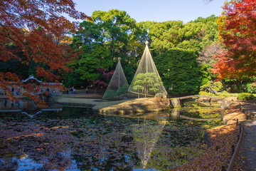 小石川後楽園の秋の風景