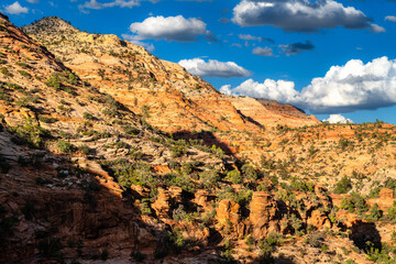 Red sandstone cliffs rise toward blue sky in Zion National Park, Utah, United States. Geologic formations of Navajo Sandstone feature layered rock textures and green vegetation on sunny day