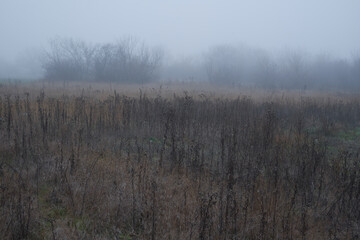 Beautiful landscape in Ukraine