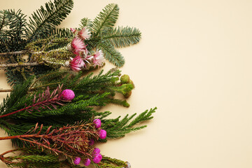Diverse spruce and floral arrangement on beige background