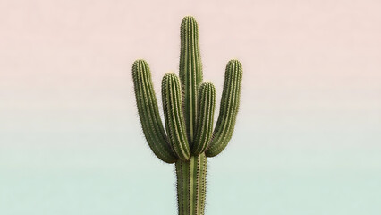 Tall green cactus plant against gradient pink background