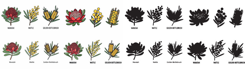 Australian native flowers and foliage outline set