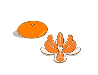 みかんと剥いたみかん