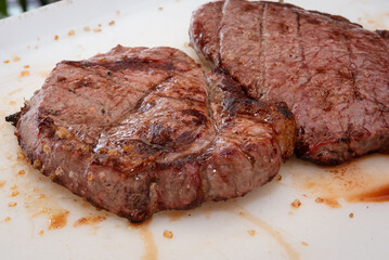 Brazilian barbecue (Brazilian rodizio)