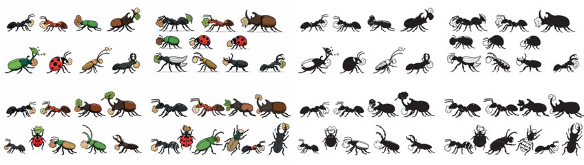 Various insects collection with transparent background