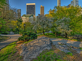 Central Park in spring, early morning