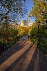 Gapstow Bridge in Central Park, summer morning