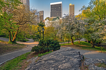 Central Park in spring, early morning