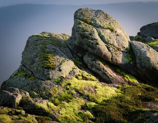 formation with moss and lichens growing on it showcasing untouched geological beauty in nature