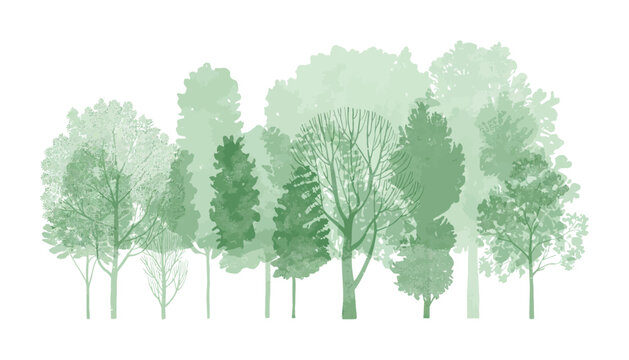 Architectural CAD Tree Line Drawings with Side View Forest Symbols and Wildlife Section Outlines for Landscape Design Vector Illustration