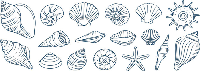 Hand drawn marine life collection featuring various seashells, starfish, and ocean elements, isolated vector illustration.
