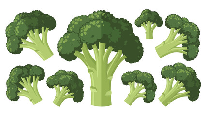 A large, central broccoli stalk anchors a scattered assortment of smaller green florets and stems, all rendered in a clean, flat vector style on a white background