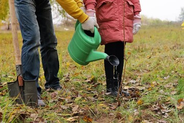 A parent and child work together in a park, planting a young tree while watering it. The scene captures a sunny autumn day with falling leaves