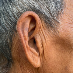 close up of a head of a male ear.