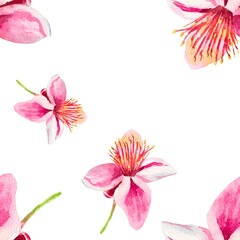 Naklejka premium Feijoa flowers. Watercolor seamless pattern with feijoa flowers isolated on white. For printing on fabric, wallpaper, paper, curtains, prints, wrapping paper, cosmetics, kitchen decor