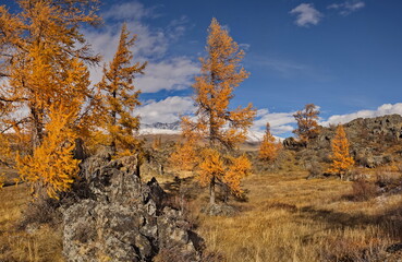 Fototapeta premium Russia. The South of Western Siberia, the Altai Mountains. The beginning of autumn on picturesque rocky placers in the Kurai steppe along the Chui tract.