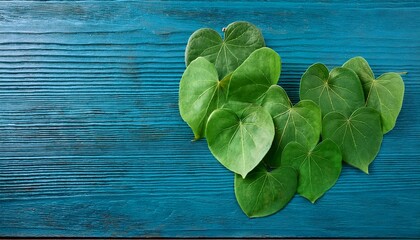 tinospora cordifolia herb heart leaved moonseed guduchi giloy crispa on wooden background