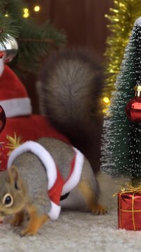 Im Advent