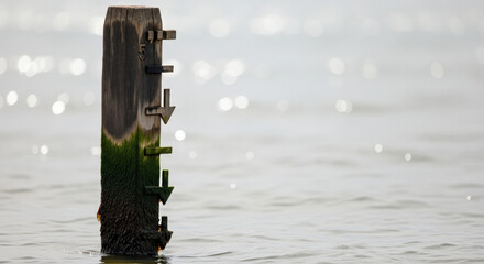 Tidal marker with carved arrows submerged in water, showcasing algae growth and metallic accents. Bokeh gradient creates an ethereal ambiance, suitable for themes of nature or coastal environments.