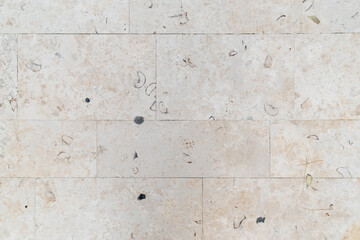 Beige fossilized limestone tiles with visible shell imprints