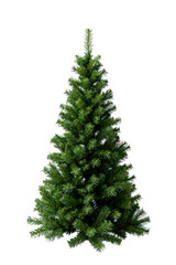 Fototapeta premium Isolated Evergreen Christmas Tree Clean Background