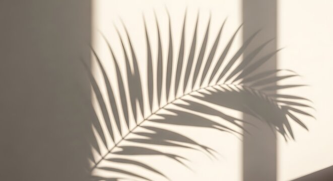Black line art vector pattern of palm tree leaves with sun light texture backdrop