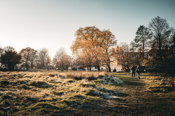 Scenic view of a cold, frosty park in late autumn, early winter with typical English manors in the background