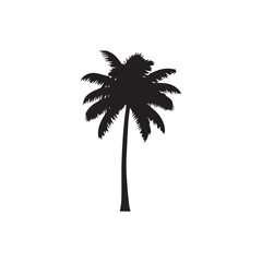 Obraz premium Silhouette of a tall palm tree against a plain white background, isolated.