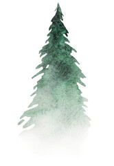 Hand drawn watercolor green spruce or pine tree, isolated illustration for Christmas stationery