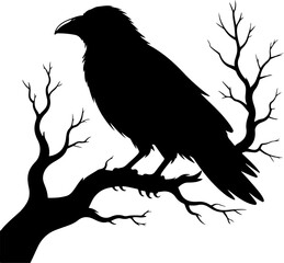 Fototapeta premium raven sitting on a bare tree branch vector art