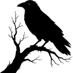 Fototapeta premium raven sitting on a bare tree branch vector art