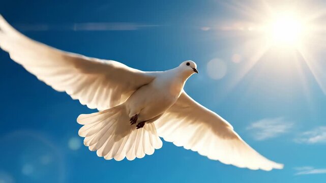 White dove flying in bright blue sky with sun flare symbolizing peace, hope, freedom, and spirituality in the air
