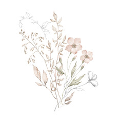 Watercolor bouquet with wild plants and flowers. Meadow dried wildflowers. Elegant ethereal nature, floral arrangement